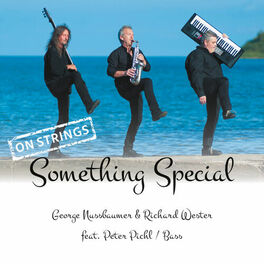 Album cover of Something Special - On Strings