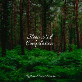 Album cover of Sleep Aid Compilation