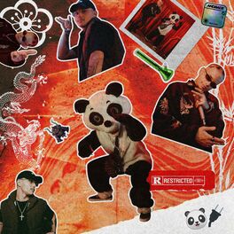 Album picture of Panda Plug