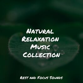 Album cover of Natural Relaxation Music Collection