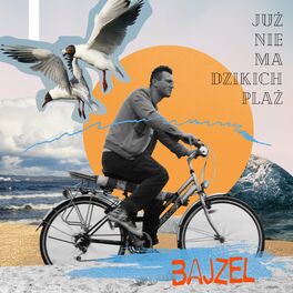Album cover of Już nie ma dzikich plaż