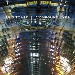 Album cover of Compound Eyes