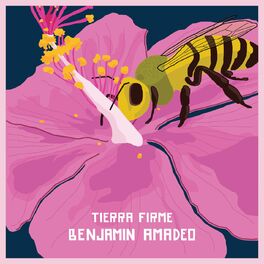 Album cover of Tierra Firme