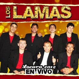 Album cover of Locura 2012 (En Vivo)