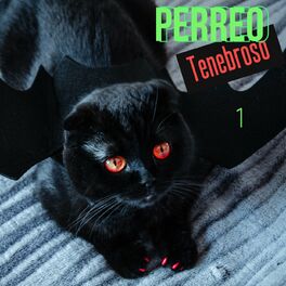 Album cover of Perreo Tenebroso Vol. 1