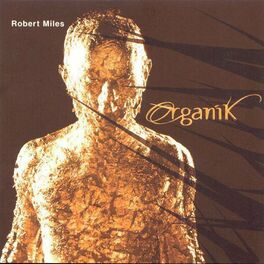 Album cover of Organik
