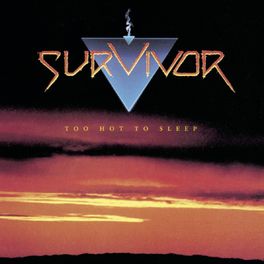 Album cover of Too Hot to Sleep