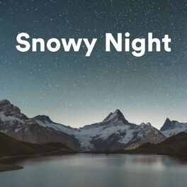 Album cover of Snowy Night