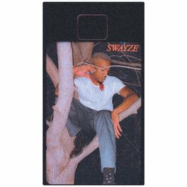 Album cover of Swayze