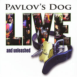 Album cover of Live And Unleashed