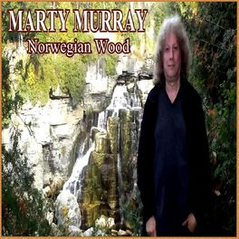 Album cover of Norwegian Wood