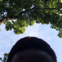 Album cover of Saturday