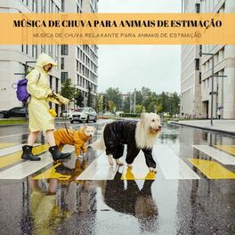 Album cover of Música De Chuva Para Animais De Estimação: Música De Chuva Relaxante Para Animais De Estimação