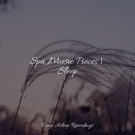 Album cover of Spa Music Pieces | Sleep