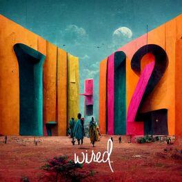 Album cover of Wired 12 Years