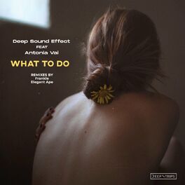 Album cover of What to Do