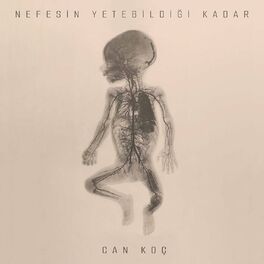 Album cover of Nefesin Yetebildiği Kadar