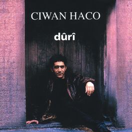 Album cover of Dûrî