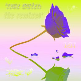 Album cover of Rose Water: The Remixes