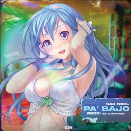 Album cover of Pa’ Bajo