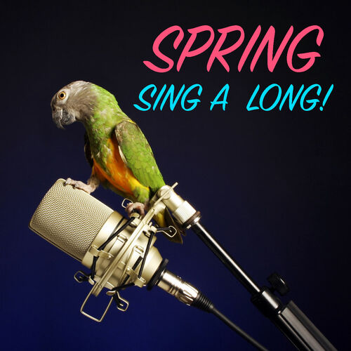 Spring singing