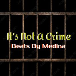 Album cover of It's Not A Crime (feat. MEDINA)
