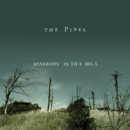 Album cover of Sparrows In The Bell