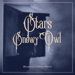 Album cover of Snowy Owl (Benjamin Gibbard Remix)