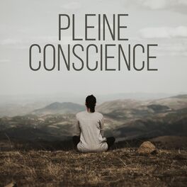 Album cover of Pleine conscience