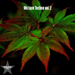 Album cover of We Love Techno, Vol. 2