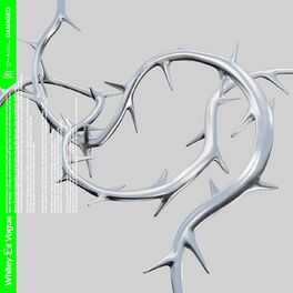Album cover of Damaged