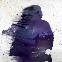 Album cover of Siła Odbicia