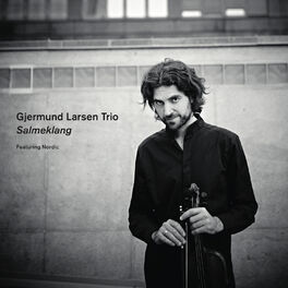 Album cover of Salmeklang