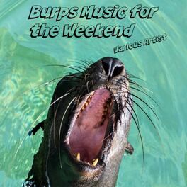 Album cover of Burps Music for the Weekend