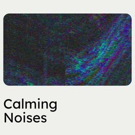 Album cover of Calming Noises