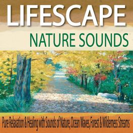 Album cover of Lifescape Nature Sounds: Pure Relaxation & Healing With Sounds of Nature, Ocean Waves, Forest & Wilderness Streams