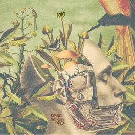 Album picture of Paó