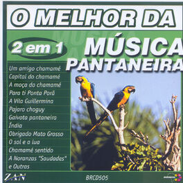 Album cover of O Melhor da música pantaneira