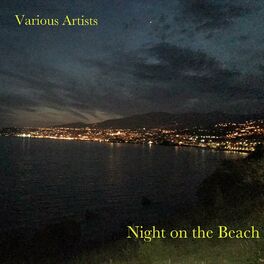 Album cover of Night on the Beach