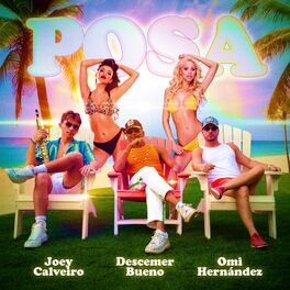 Album cover of Posa