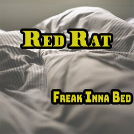 Album cover of Freak Inna Bed