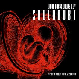Album cover of Souldoubt