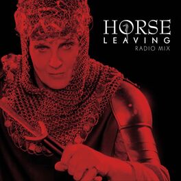 Album cover of Leaving (Radio Edit)
