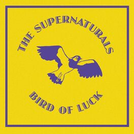 Album cover of Bird of Luck