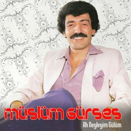 Album cover of Ah Neyleyim Gülüm