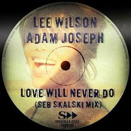 Album cover of Love Will Never Do (Seb Skalski Remix)