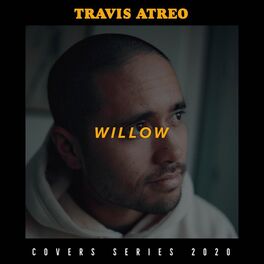 Album cover of Willow