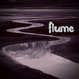 Album cover of Flume