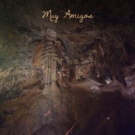 Album cover of Muy Amigos