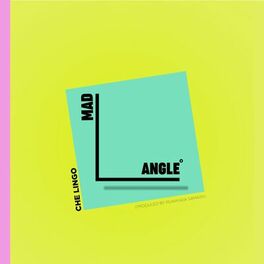 Album cover of Mad Angle